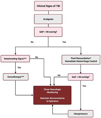 Frontiers | Traumatic Brain Injury—A Review Of Intravenous Fluid Therapy